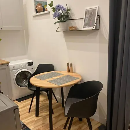Modern Studio Near Theater! Riga