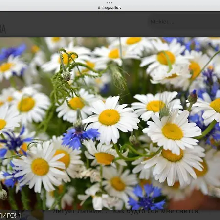 Modern Near Theater! Riga