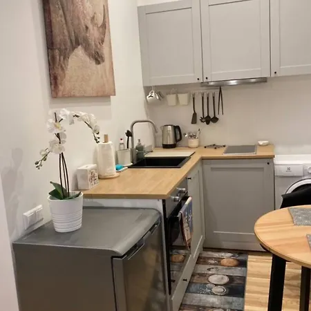 Modern Studio Near Theater! Apartment Riga
