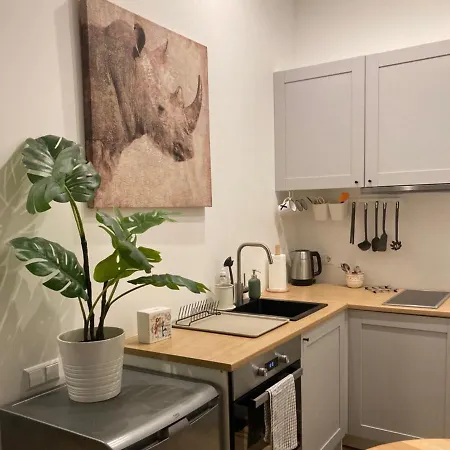 Modern Near Theater! 公寓 里加